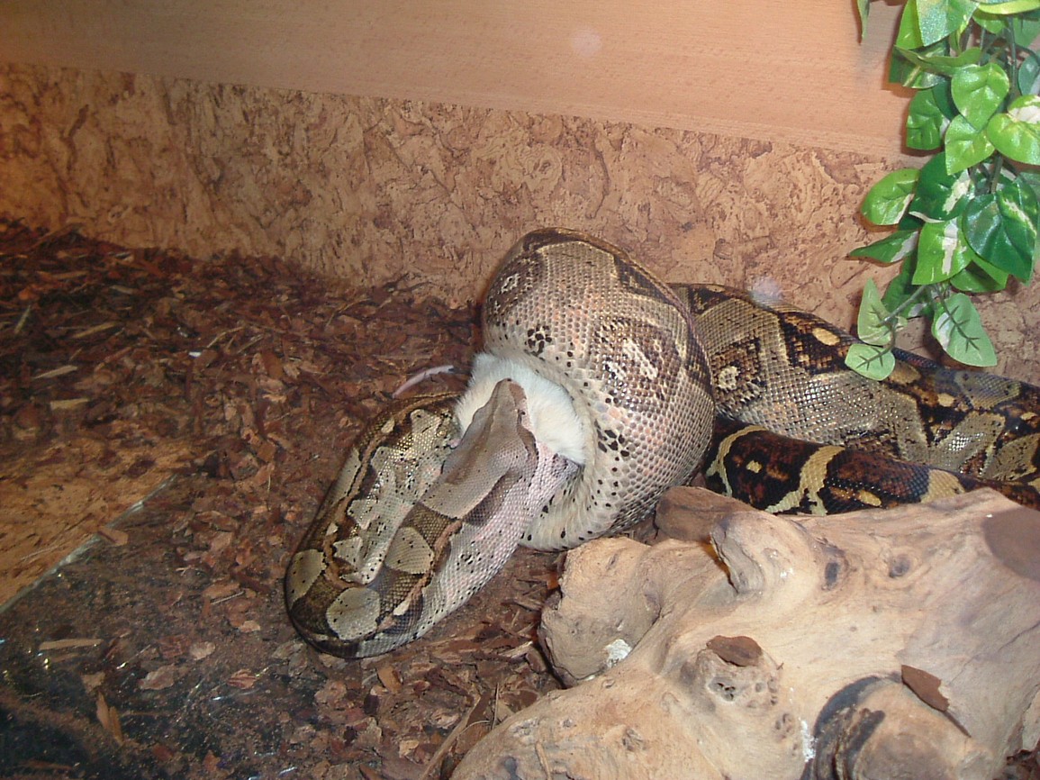 DSCF2180.JPG