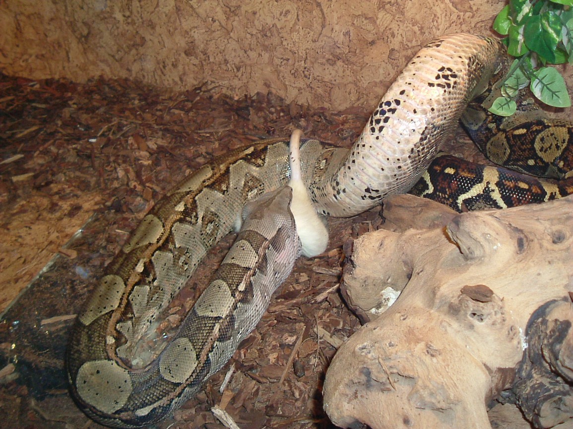 DSCF2183.JPG