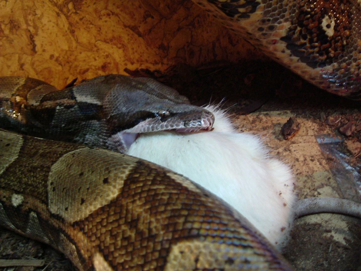 DSCF2799.JPG