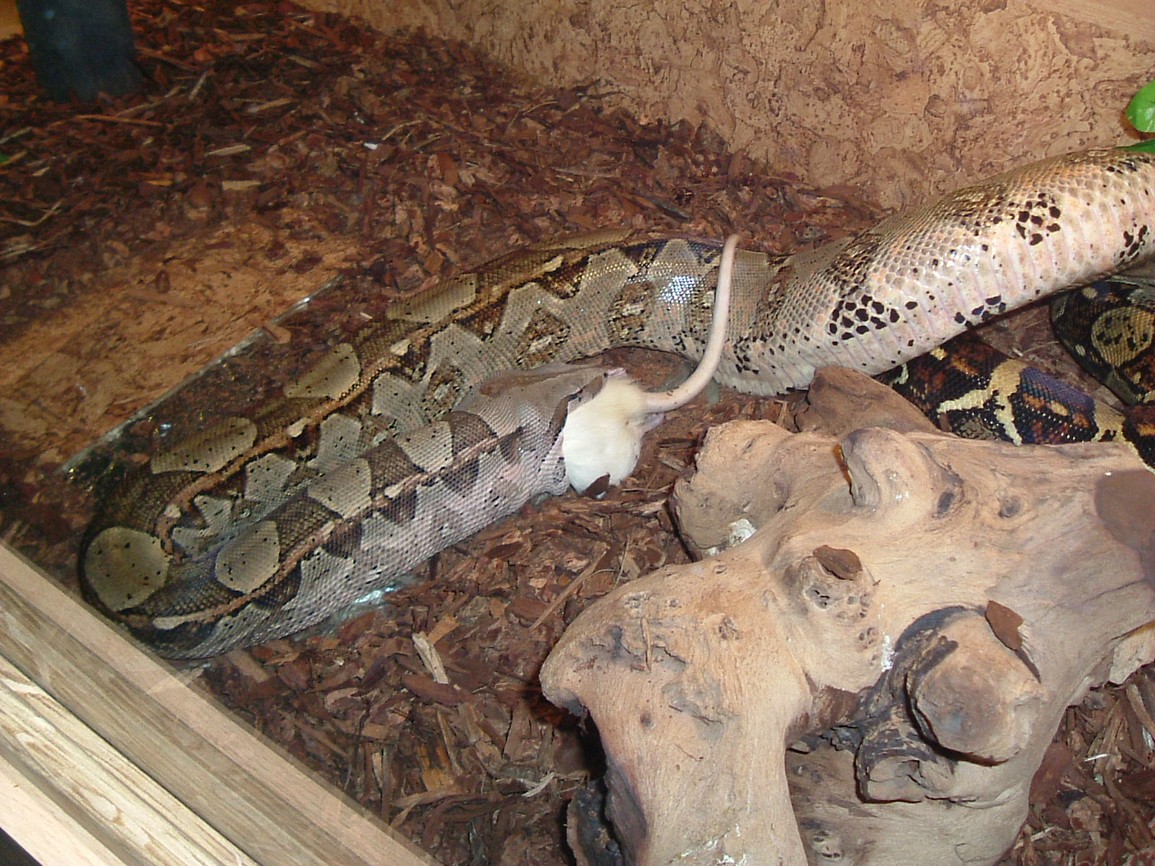 DSCF2185.JPG
