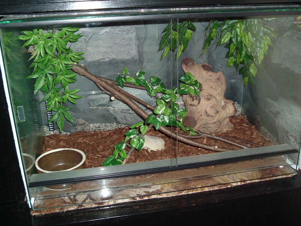 DSCF3346.JPG