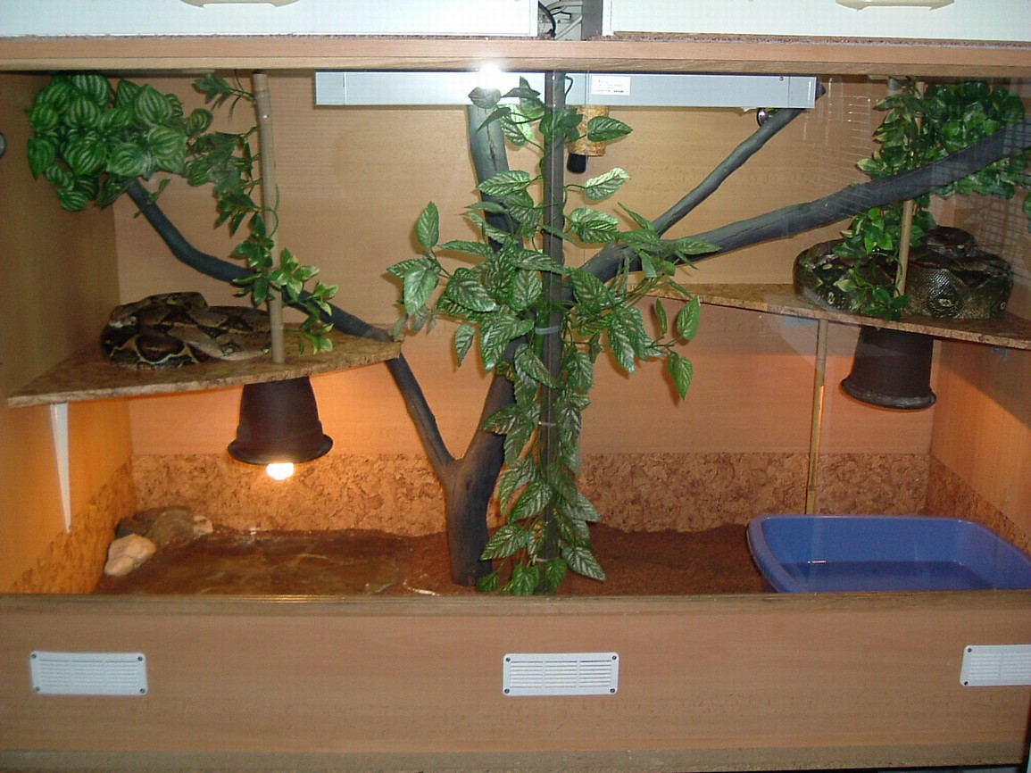 DSCF3349.JPG