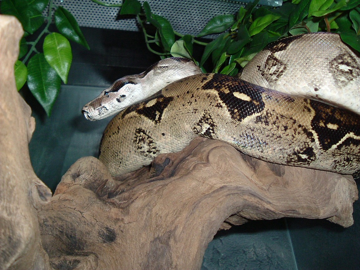 DSCF3156.JPG