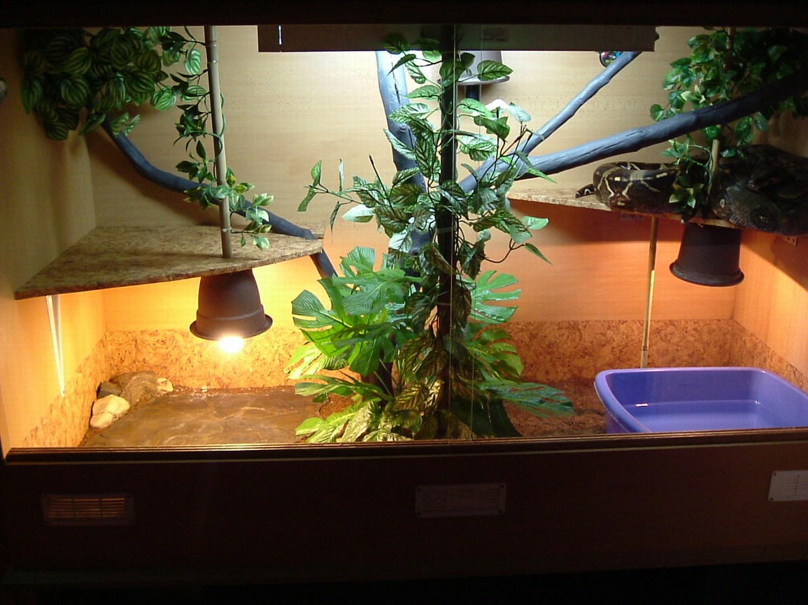 DSCF3357.JPG
