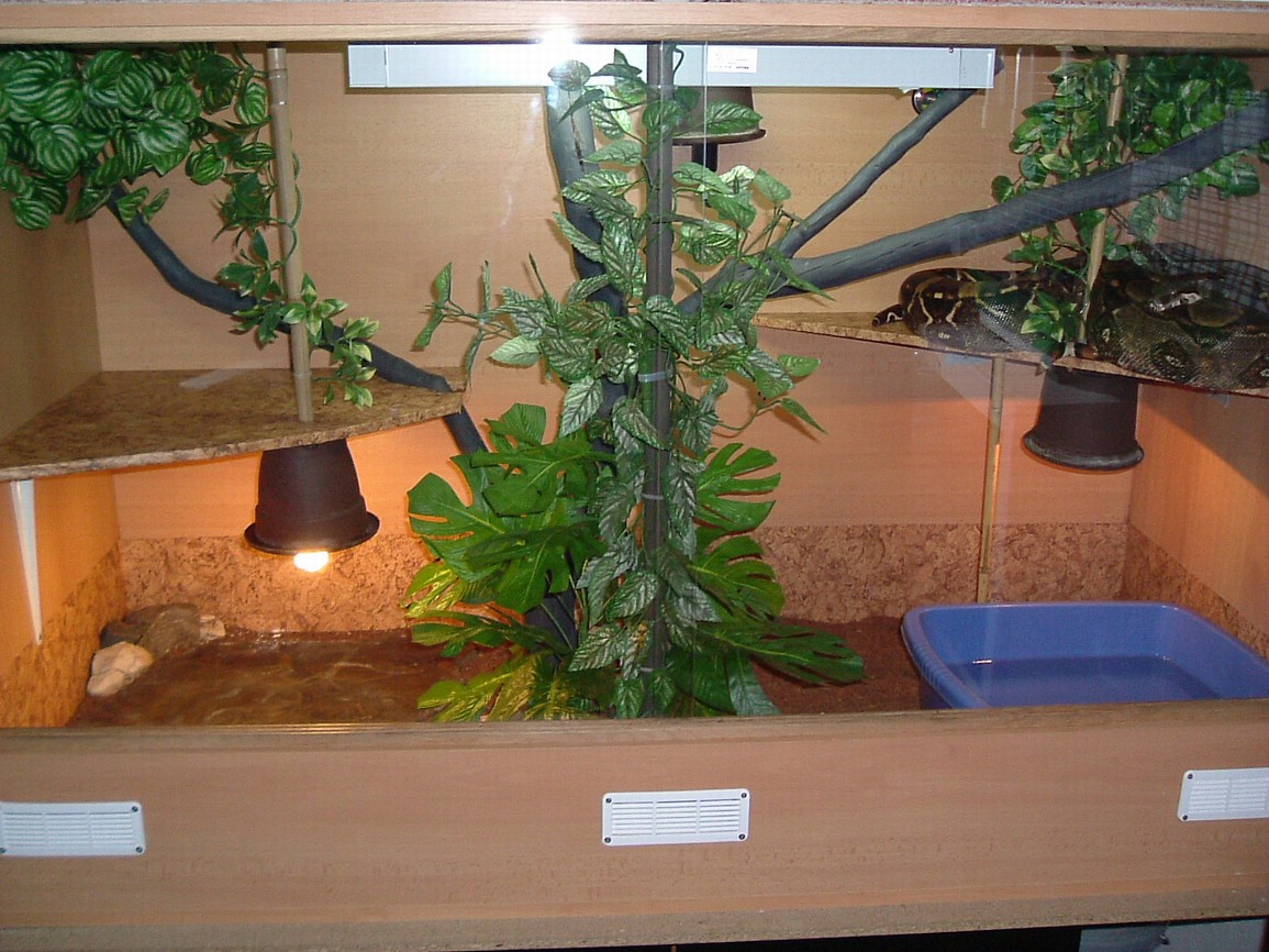 DSCF3359.JPG