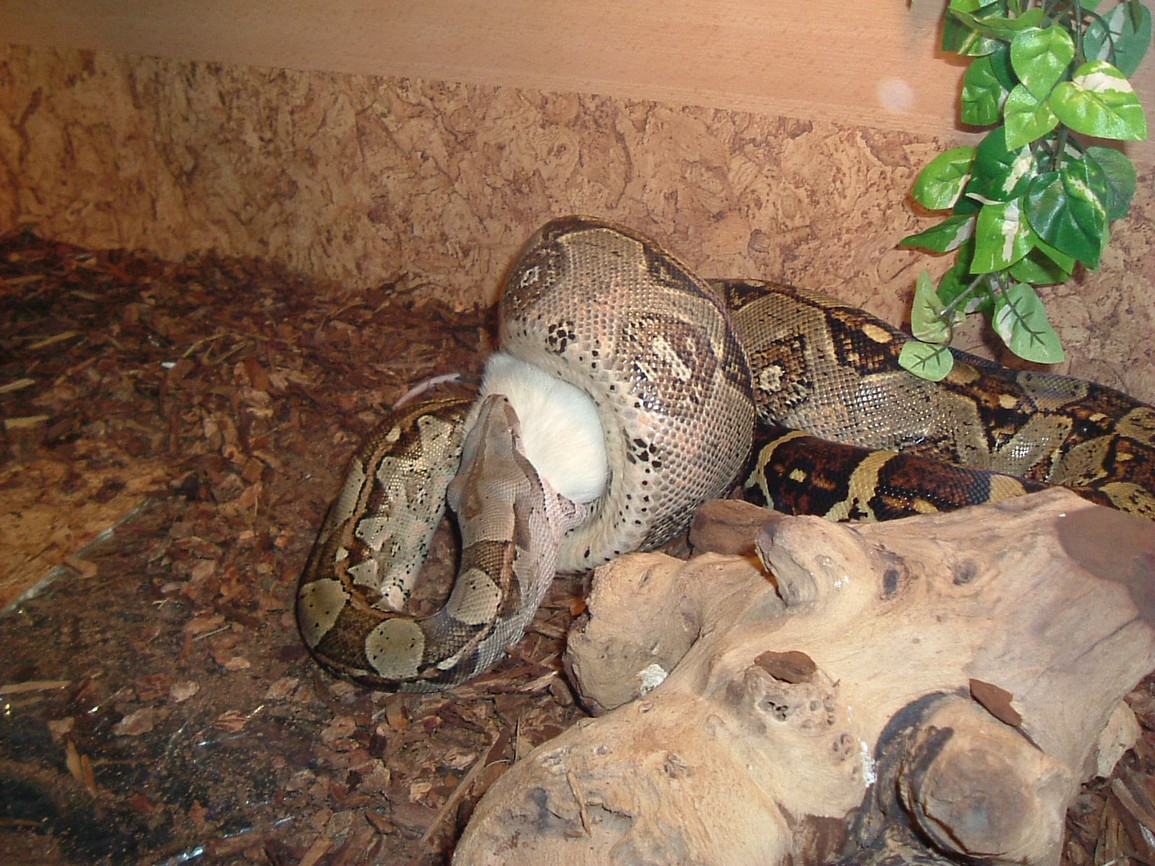DSCF2179.JPG